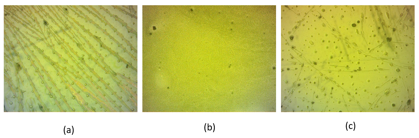 Films for ITO-PET substrate with (a)75%(TIPS-Pentacene:Polystyrene(PS) at 1.5 inches (b)75%(TIPS-Pentacene:PS) at 4 inches (c) 25%(TIPS-Pentacene:PS) at 6 inches